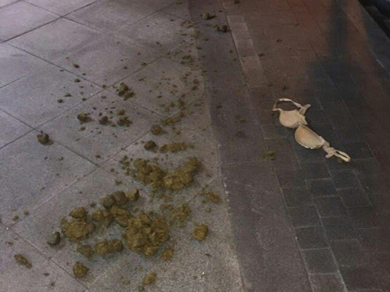 800x600, 77 Kb / навоз, бюстгальтер, мостовая