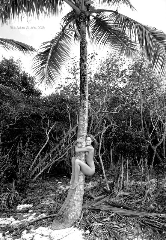 554x799, 253 Kb / пальма, голая, ч/б