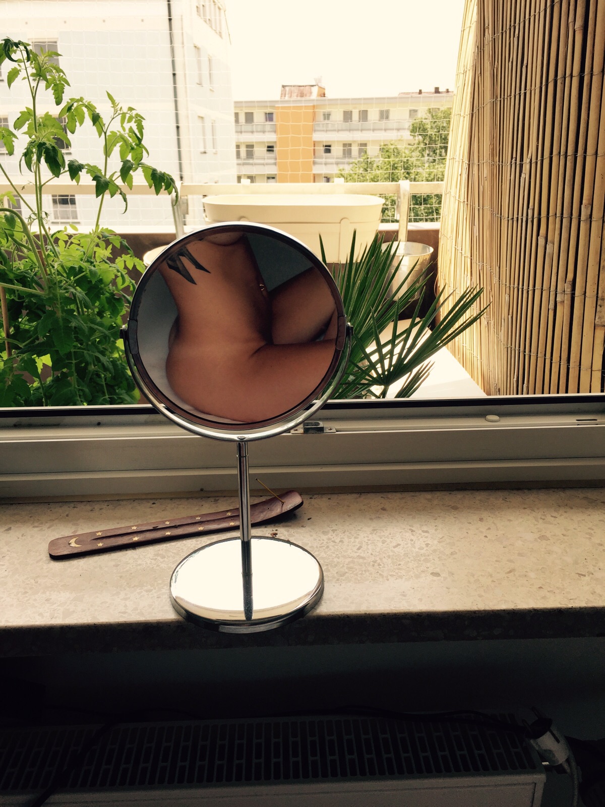 1200x1600, 470 Kb / зеркало, отражение, тату, окно, голая, бамбук