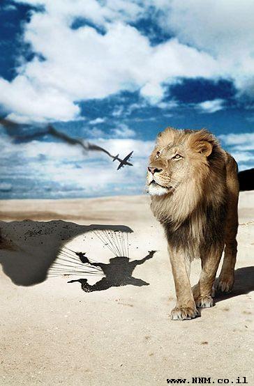 364x554, 37 Kb / лев, парашютист, самолет, пустыня