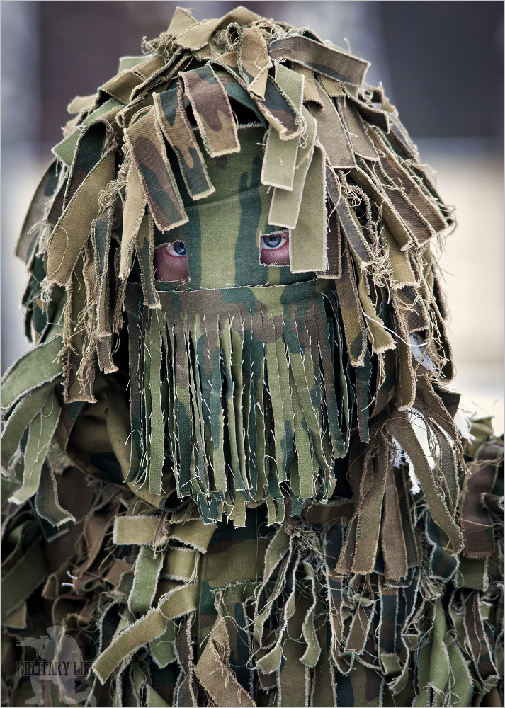 713x1000, 597 Kb / камуфляж, маскировка