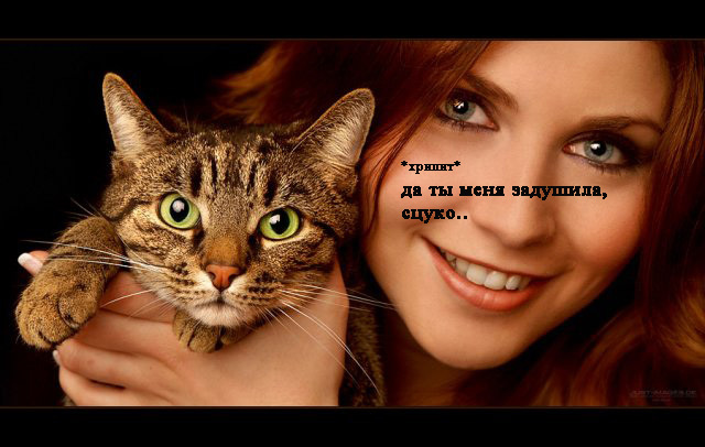 640x406, 96 Kb / кошки, девушка, рыжая