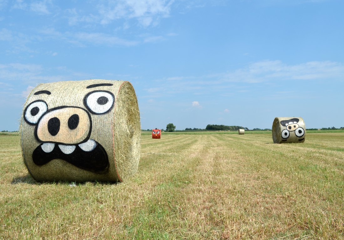 1099x766, 205 Kb / тюки, поле, свинья, энгри бердс, птица, граффити