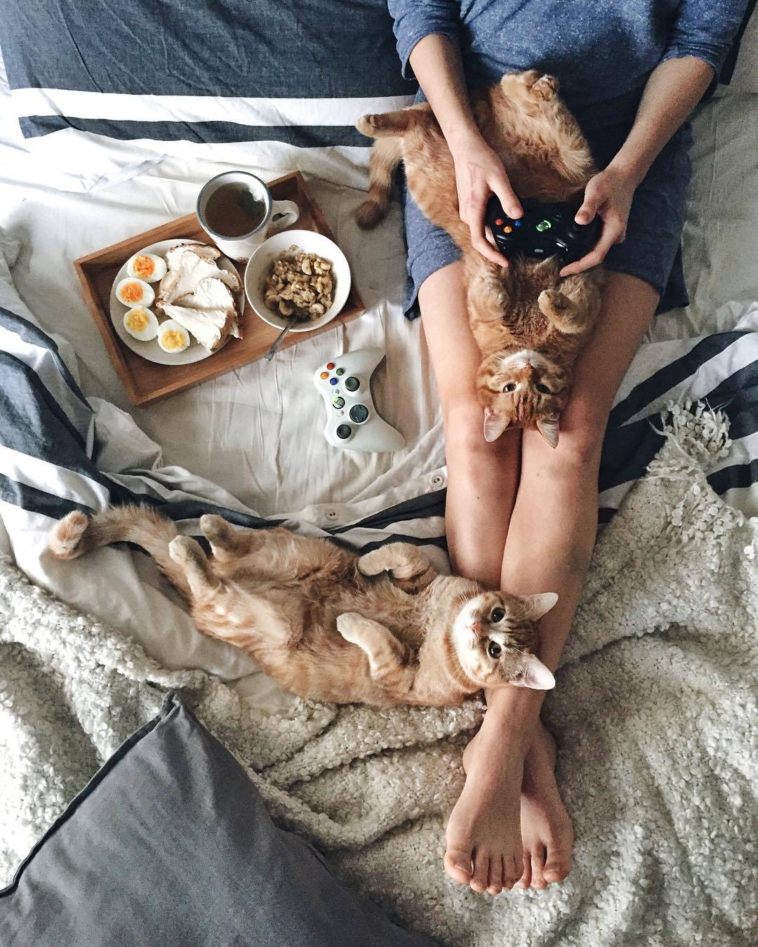 1080x1349, 228 Kb / ноги, котэ, завтрак, постель, консоль, пульт, xbox, босиком, аня юхтина
