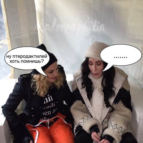 480x480, 36 Kb / мадонна, шер, птеродактили, аксакалы