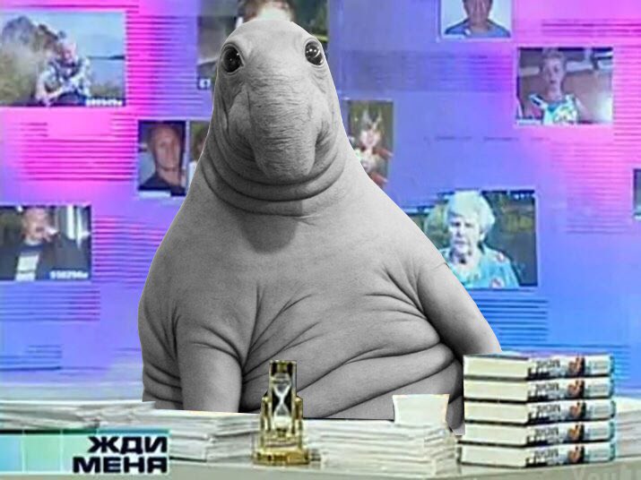 715x536, 61 Kb / Ждун, жди меня