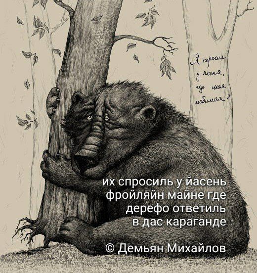 520x552, 85 Kb / медведь, ясень, любимая, караганда