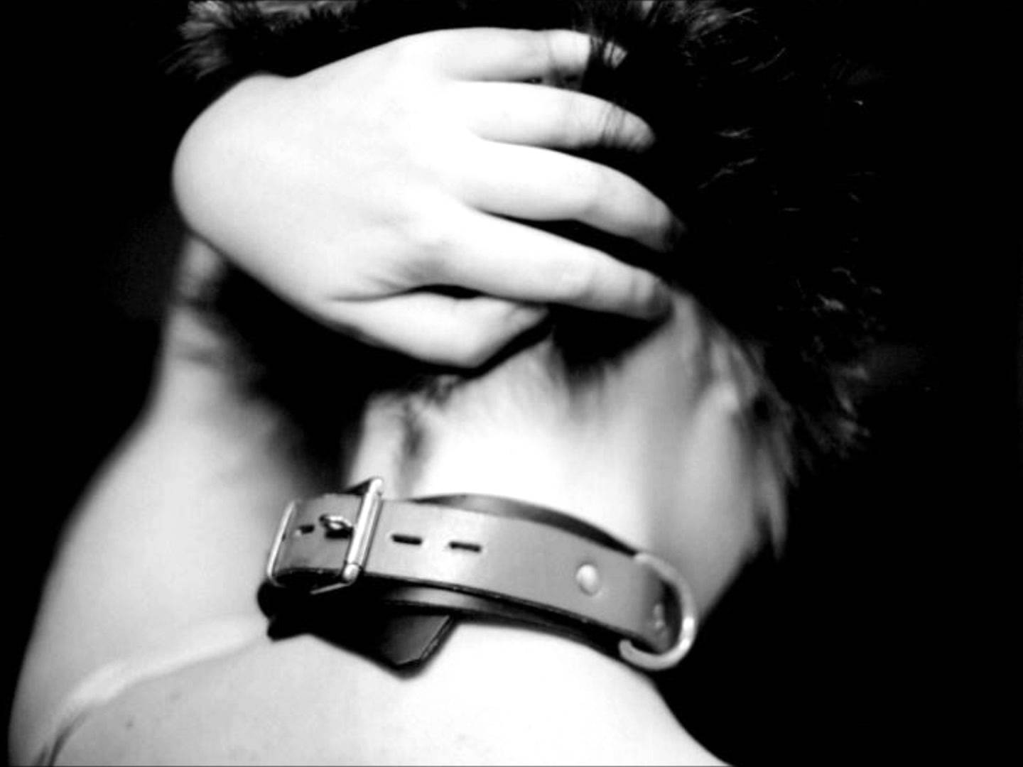 1440x1080, 66 Kb / ошейник, рука, коротко