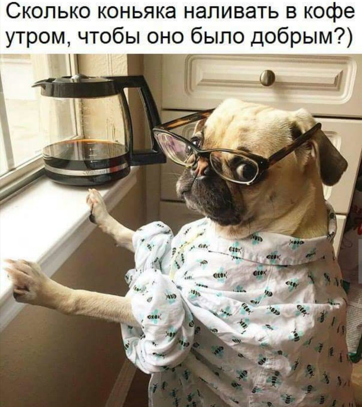 1425x1600, 255 Kb / коньяк, кофе, очки, пижама, мопс, доброе утро