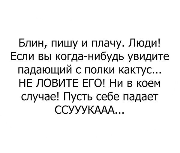 600x513, 37 Kb / кактус