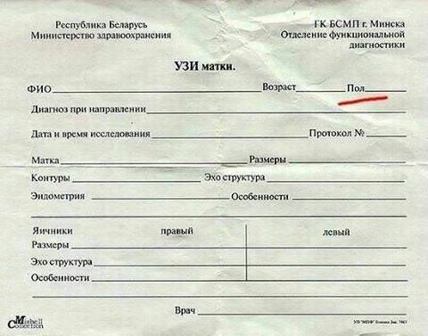 480x377, 30 Kb / Формуляр, пол, узи, матка