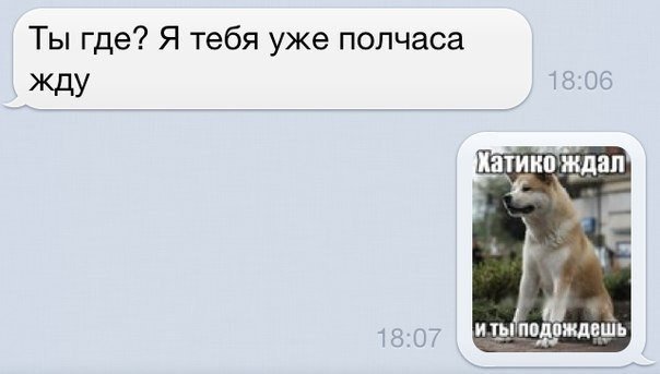 604x343, 25 Kb / Хатико, ожидание, сообщение