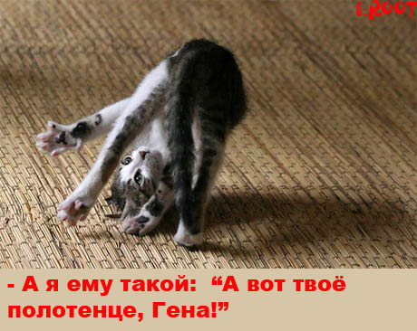 460x366, 83 Kb / кот, рингтон, гена