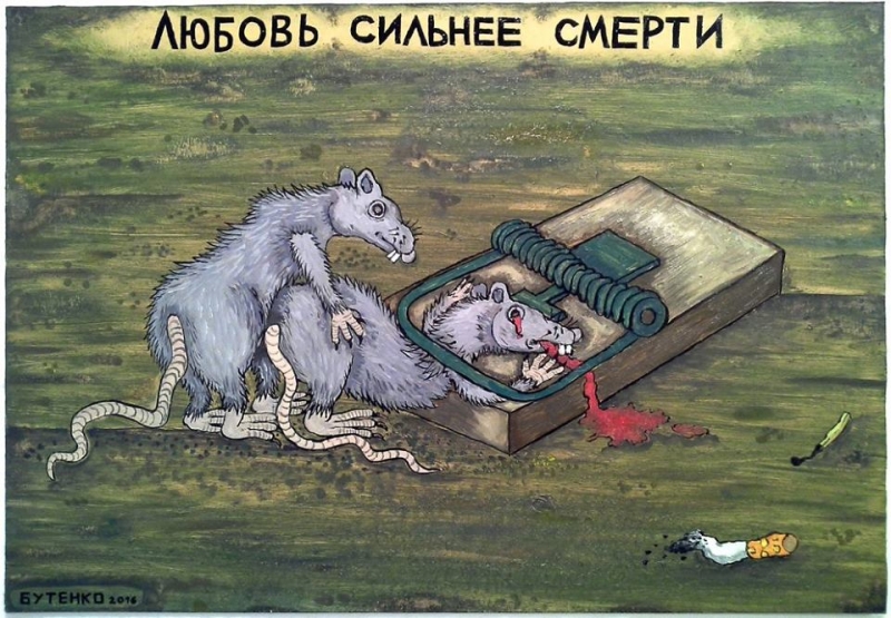 800x555, 371 Kb / крысы, любовь, смерть