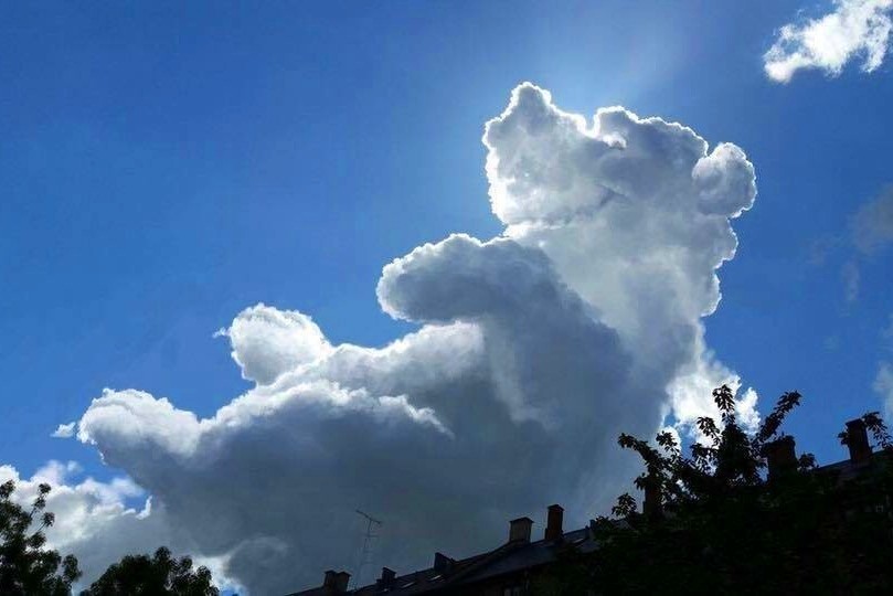 809x540, 62 Kb / медведь, туча, небо, облако, фотошоп