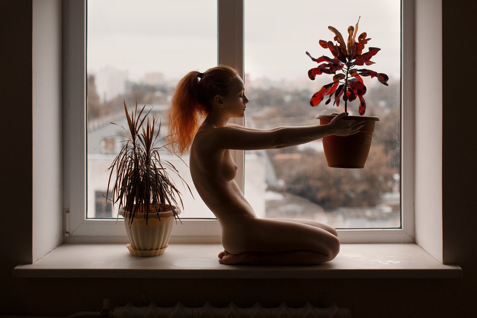 960x640, 77 Kb / подоконник, цветы, окно, батарея