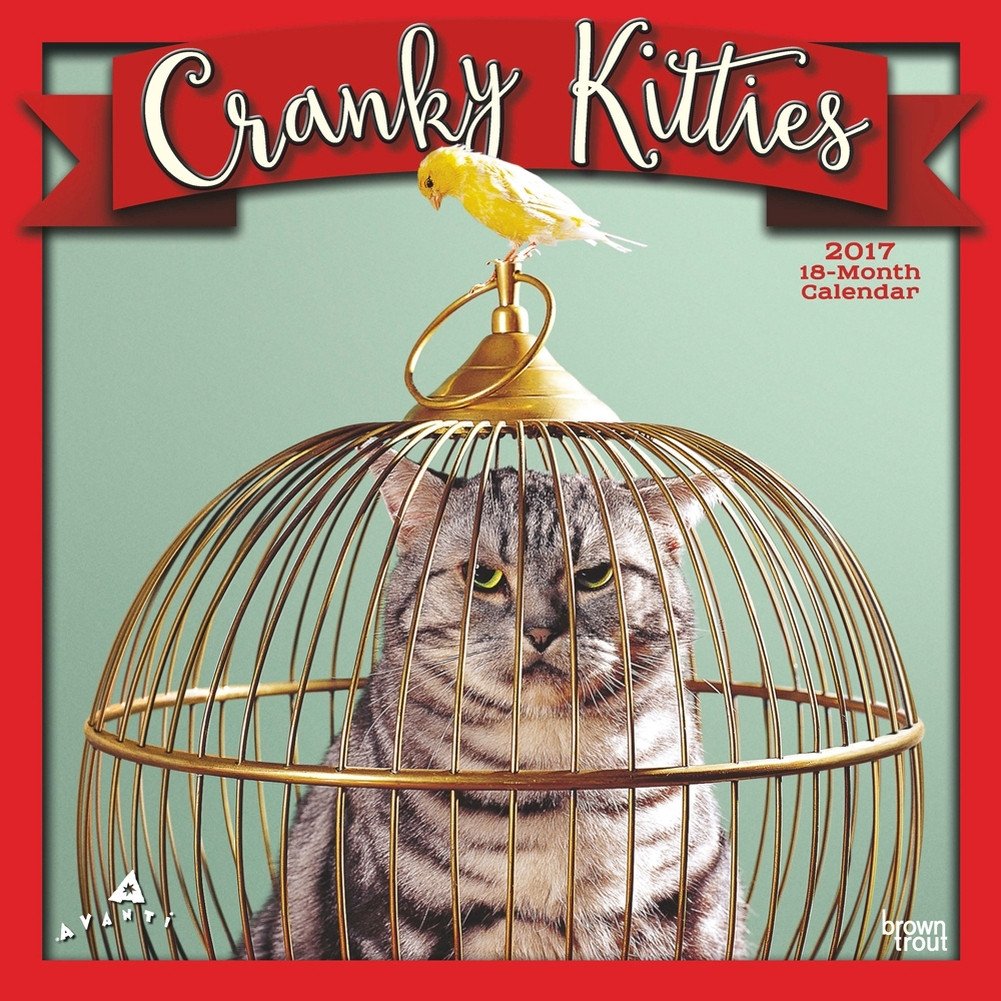 1001x1001, 244 Kb / кот, клетка, попугай