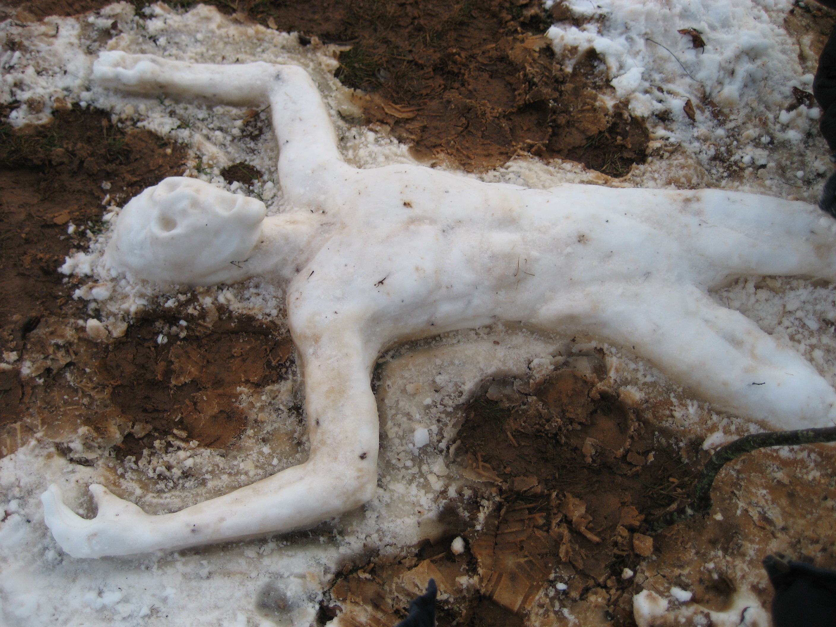 2816x2112, 639 Kb / снеговик, умирает, смерть, земля, снег, cheshirebat