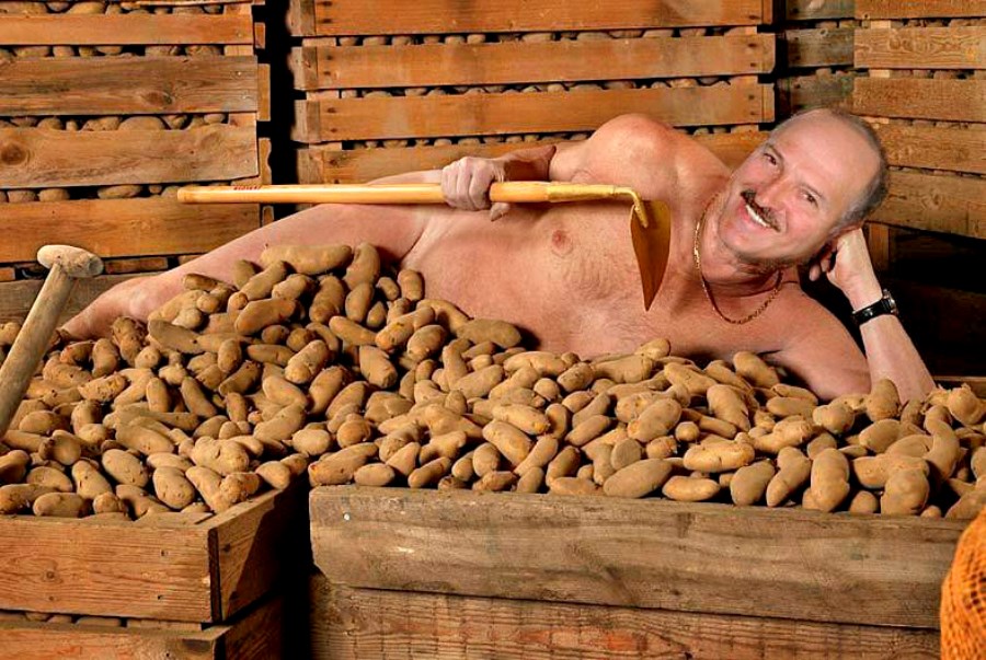 900x603, 166 Kb / лукашенко, тяпка, кетмень, ящики, картошка