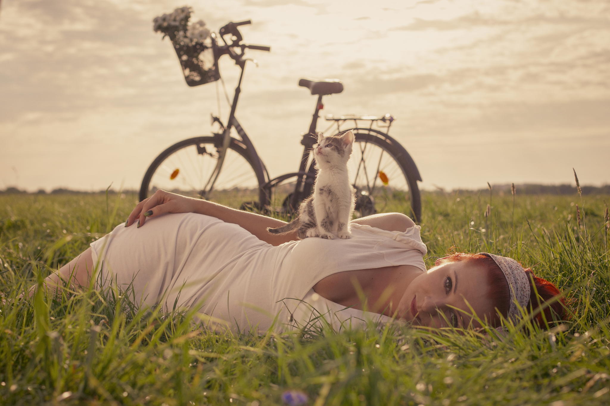 2048x1365, 247 Kb / велосипед, котёнок, девушка, рыжая, трава, поле, платье, цветы