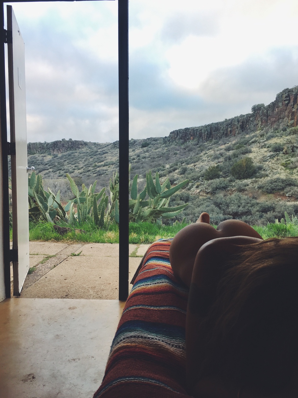 959x1280, 364 Kb / кактусы, попа