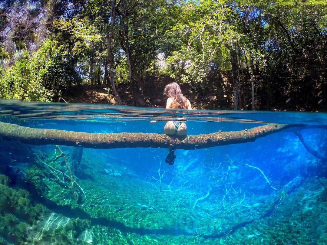 1080x810, 231 Kb / вода, попа, купальник, бревно, лес