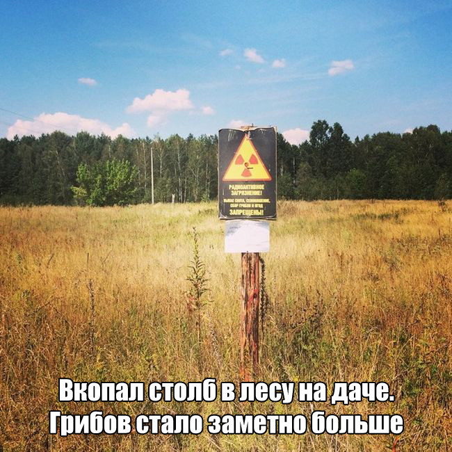 650x650, 184 Kb / столб, грибы, радиоактивность, лайфхак