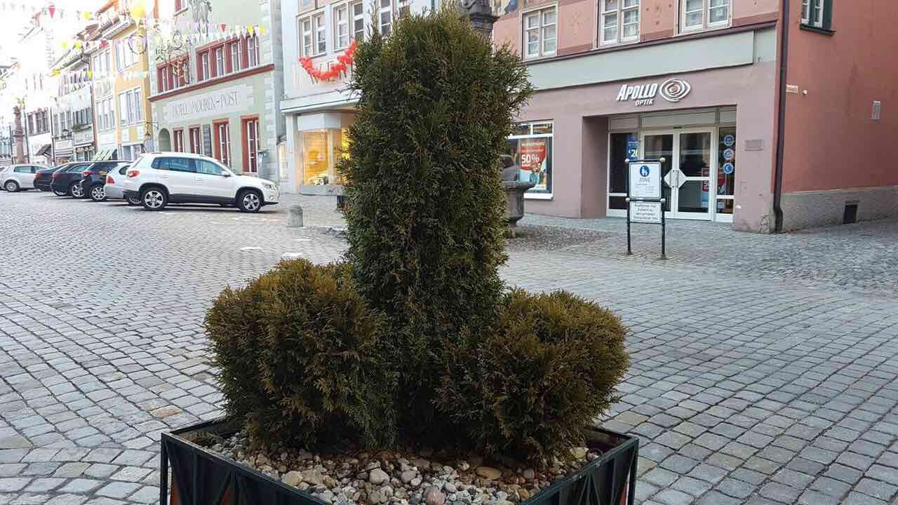 1280x720, 228 Kb / клумба, куст, фаллос