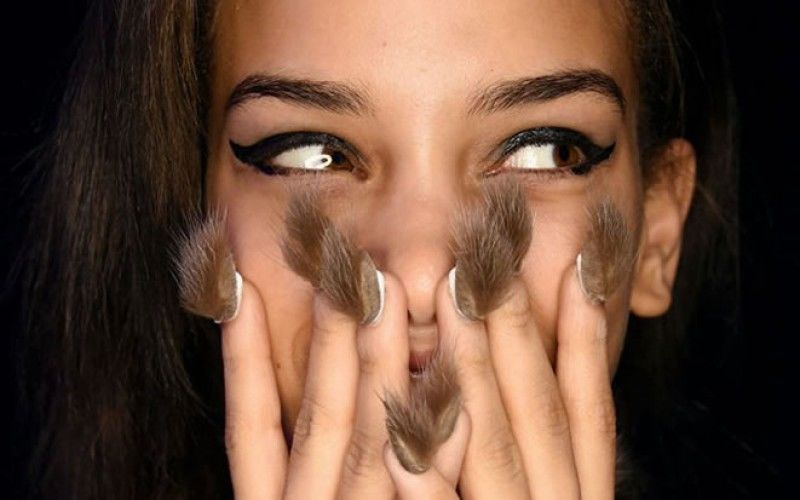 800x500, 44 Kb / ногти