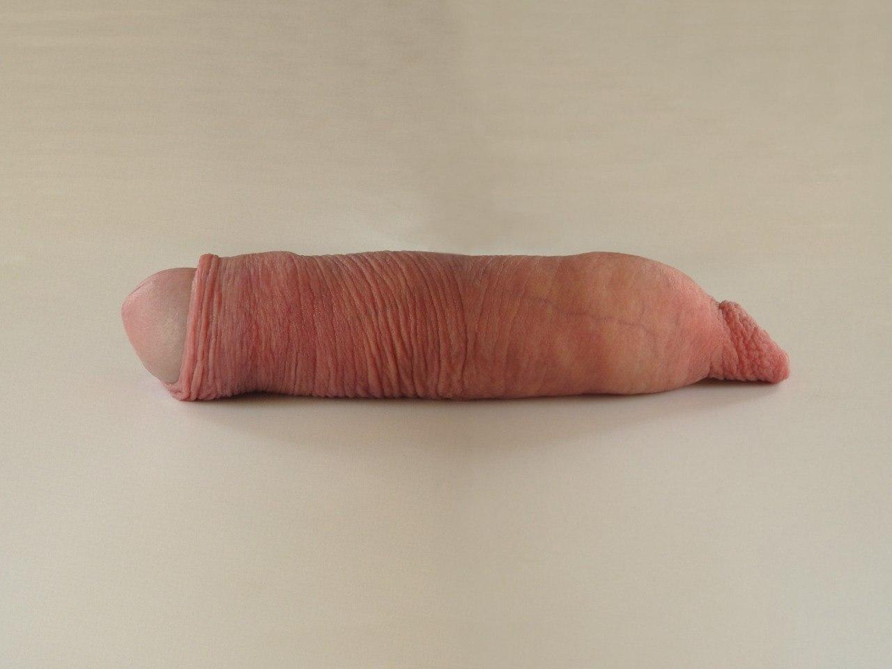 1280x960, 68 Kb / хуй, член, двусторонний