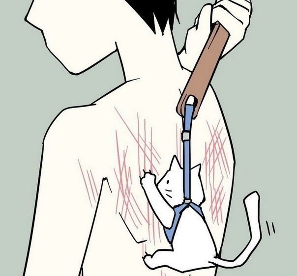 604x562, 45 Kb / кот, спина, царапины