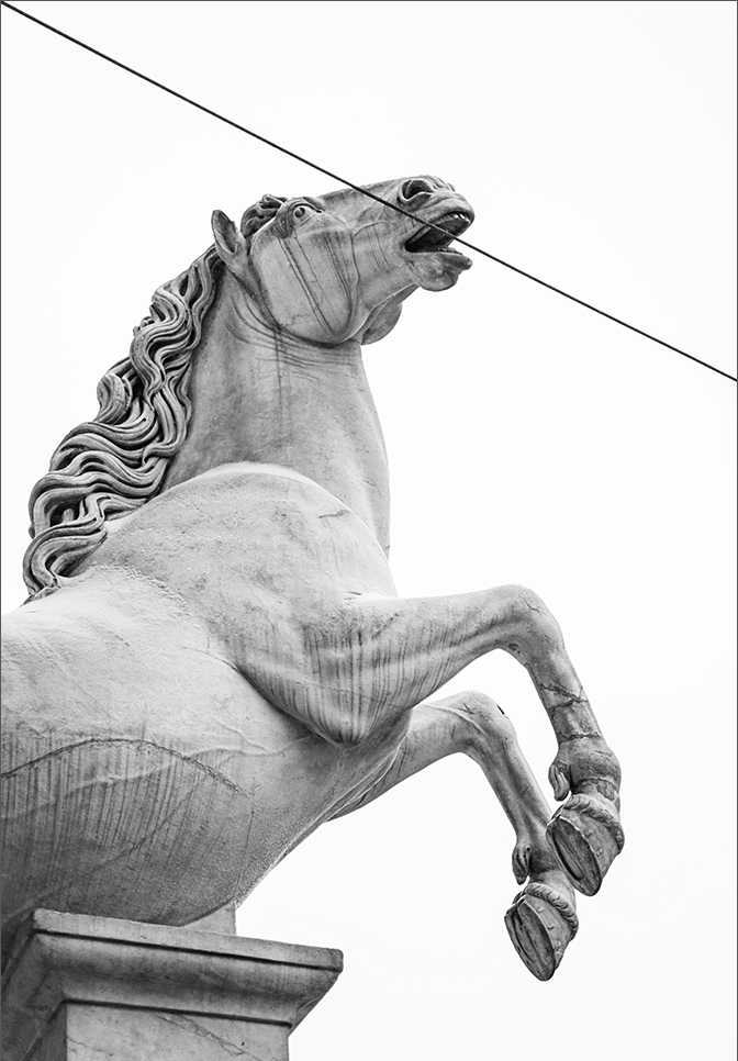 672x966, 224 Kb / конь, статуя, провод