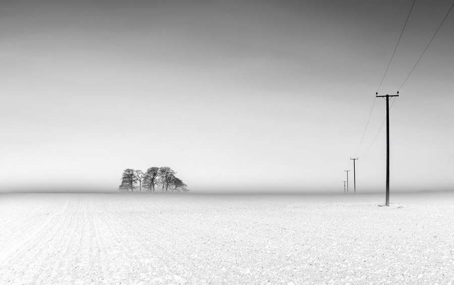 900x566, 161 Kb / поле, деревья, снег, столбы, минимализм