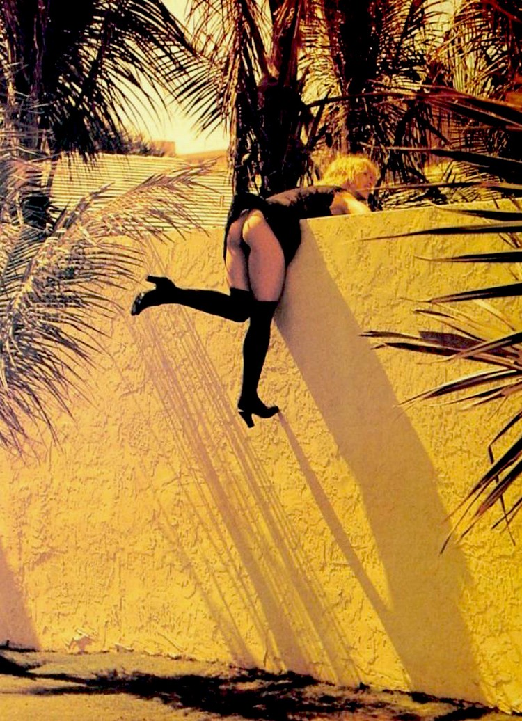 750x1036, 257 Kb / пальмы, стена, женщина, висит, чулки, задница, платье