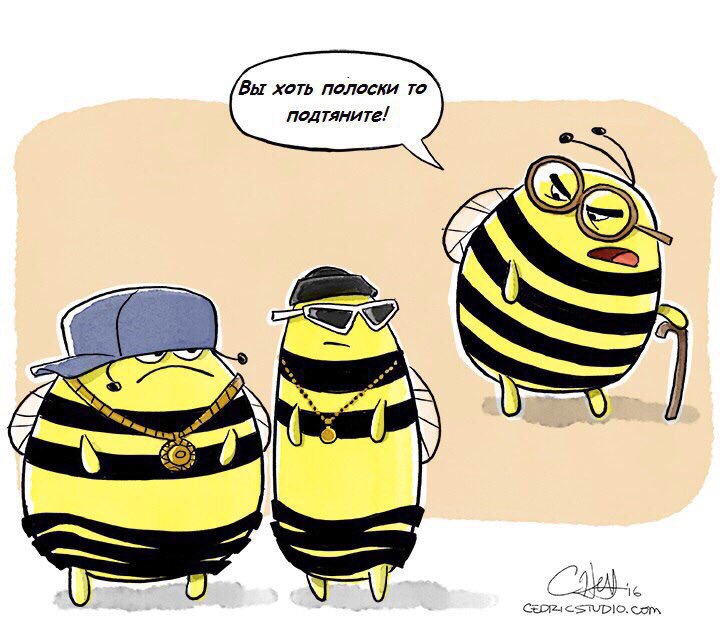 720x643, 76 Kb / пчёлы, полоски