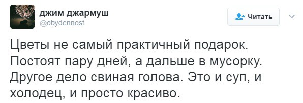 596x204, 33 Kb / подарок, цветы, голова, свин