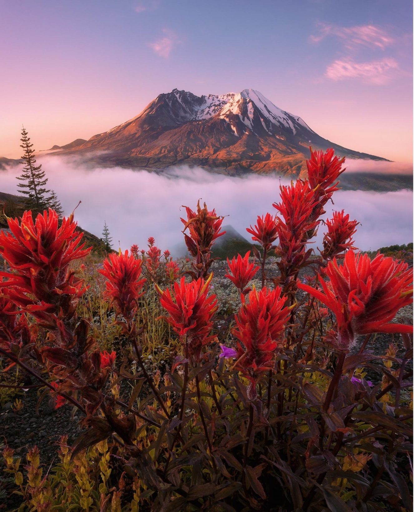 1327x1640, 398 Kb / гора, цветы, пейзаж