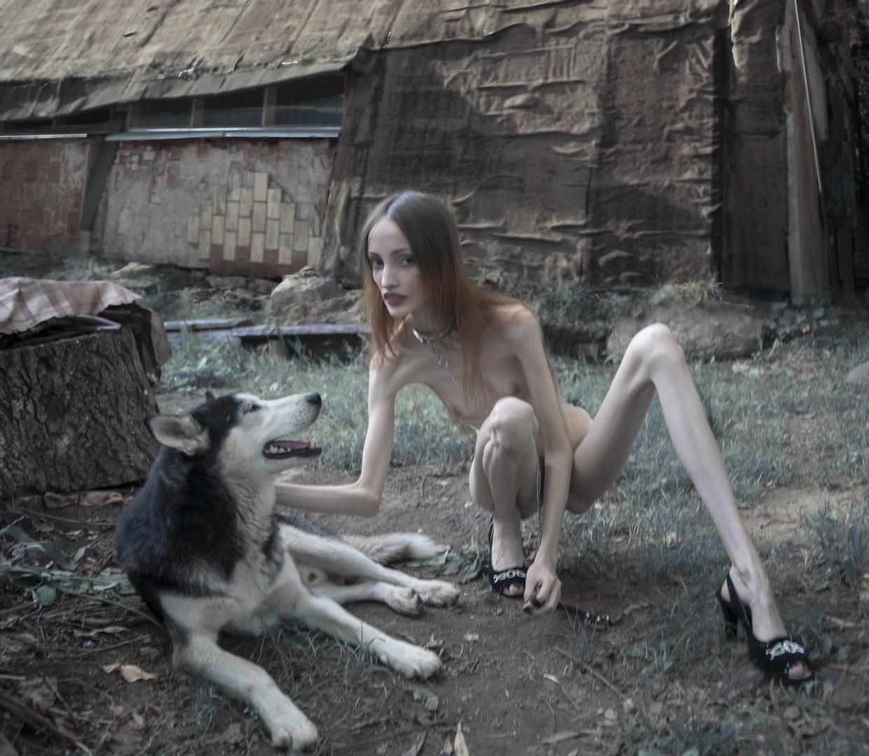1241x1080, 438 Kb / Анорексия, собака, пень, сарай