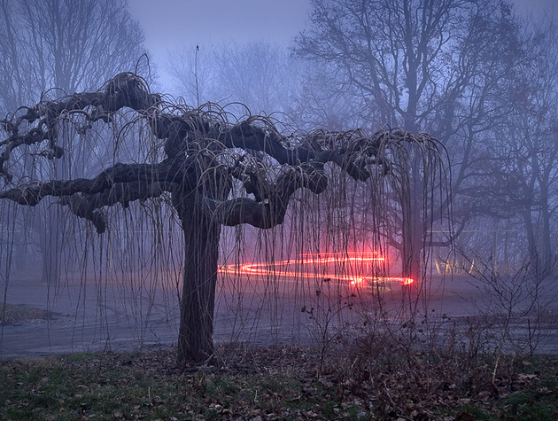 630x475, 177 Kb / деревья, ветки, висят, трава, огни