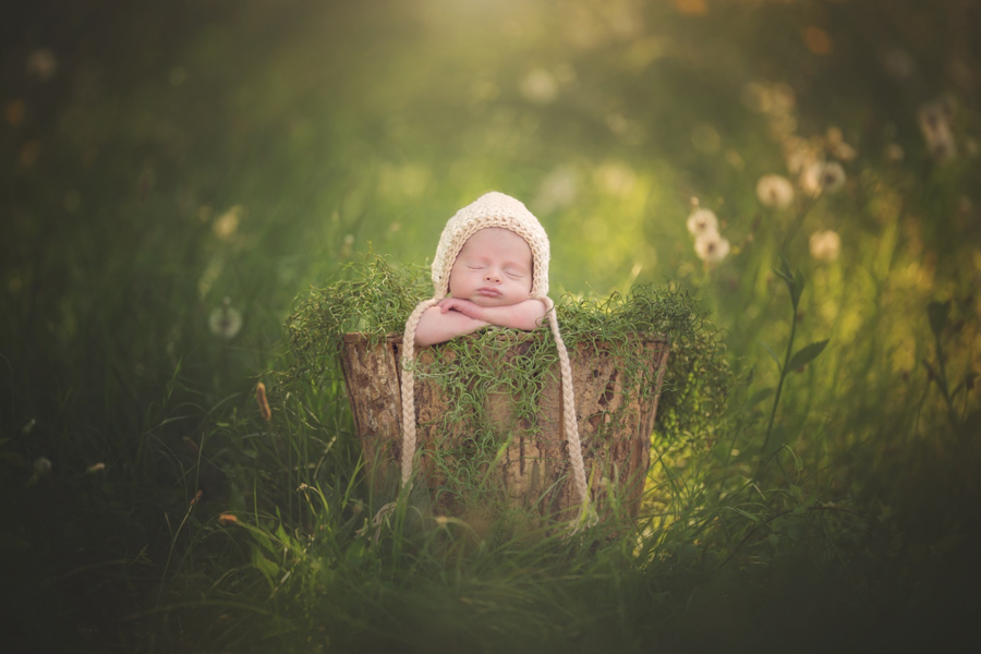 900x600, 249 Kb / ребенок, спит, шапка, зелень, одуванчики