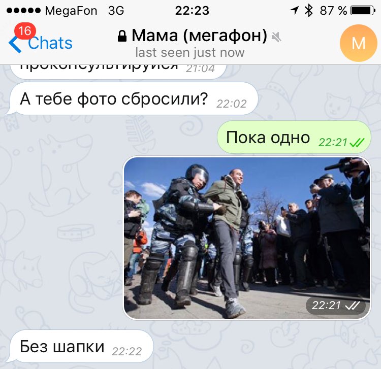 750x727, 77 Kb / мама, шапка, митинг