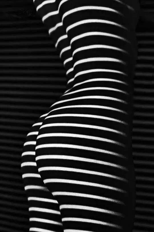 540x811, 46 Kb / полосы, ч/б