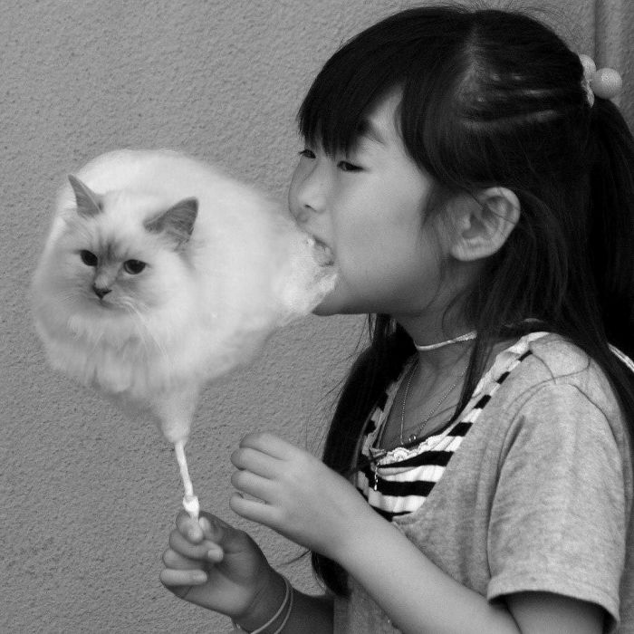 700x700, 80 Kb / ч/б, девочка, сладкая вата, кот