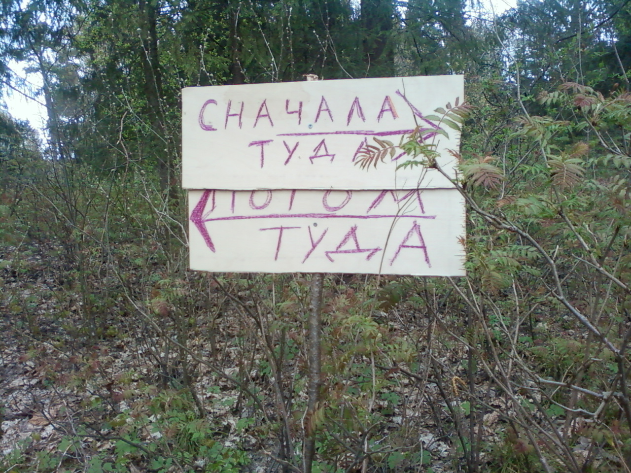 1280x960, 568 Kb / Указатель, лес, направление, выход,