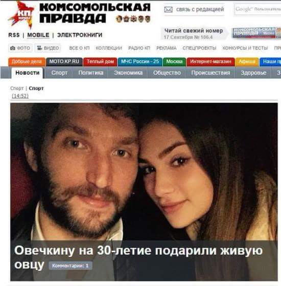 550x559, 38 Kb / овечкин, овца