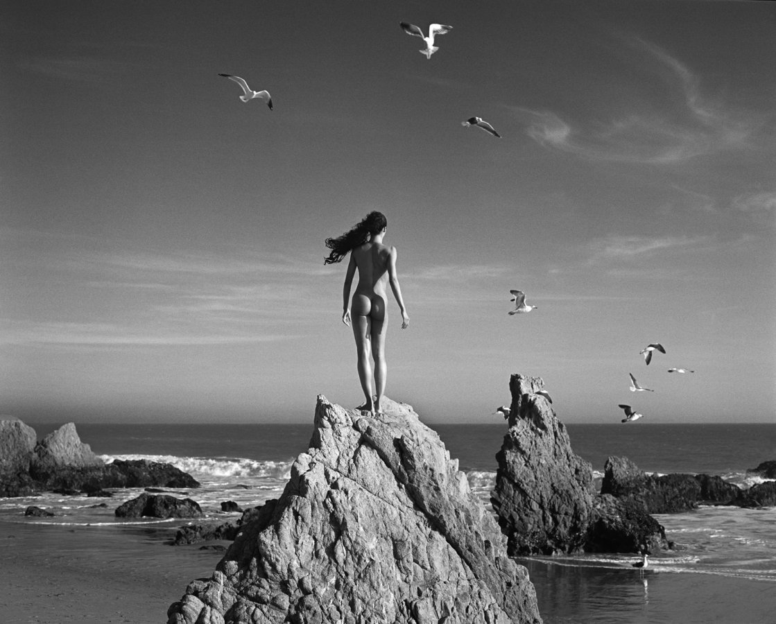 1119x900, 167 Kb / чайки, камни, море, вода, ч/б