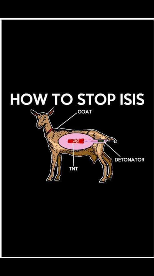 539x960, 22 Kb / игил, коза, бомба