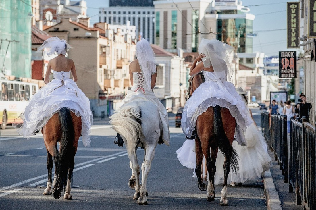 1100x731, 259 Kb / лошади, невесты, мост