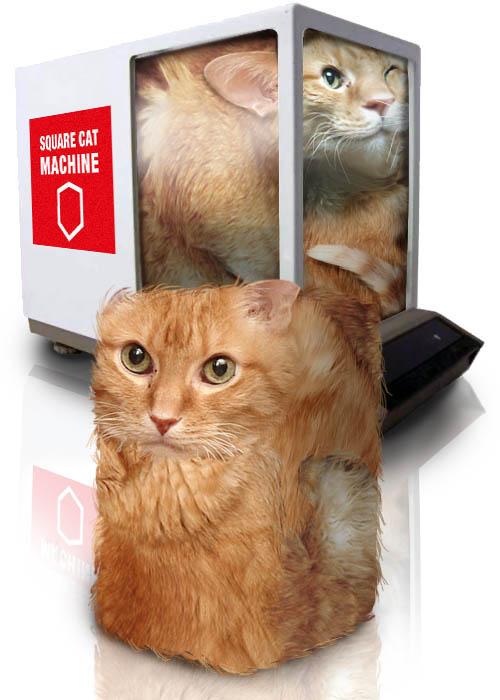 500x700, 48 Kb / square cat machine, квадратный, кубический, кот, в вакууме