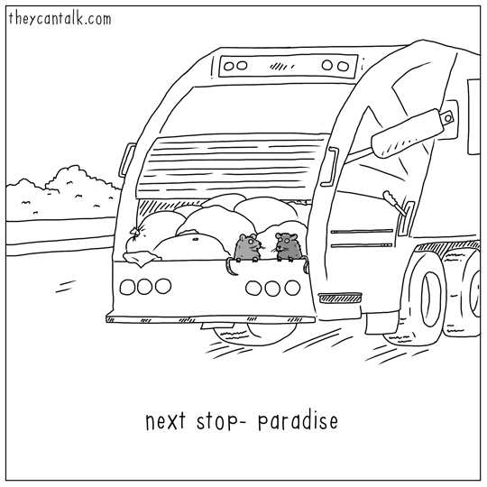 540x540, 65 Kb / крысы, мусоровоз, рай